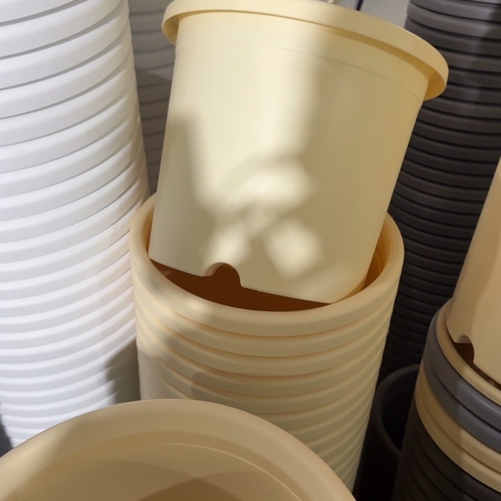 微瑕5#米黄10个无托