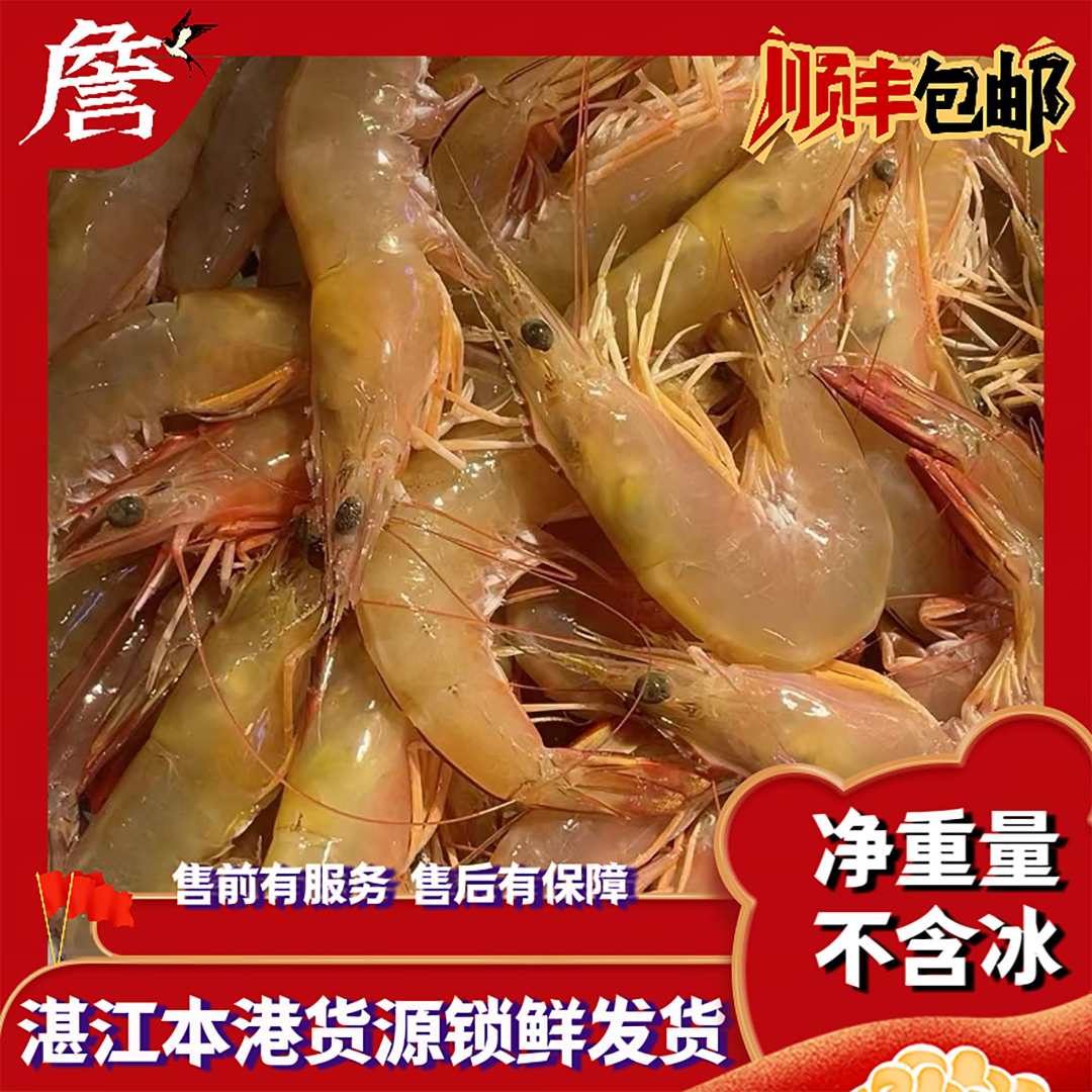 湛江本地海捕网仔明虾 12-13条/ 斤 冷链包邮