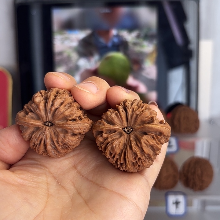 肥***聪南疆石狮子头一对
