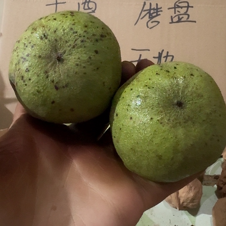 吊坠文玩核桃芳*南瓜墩青皮