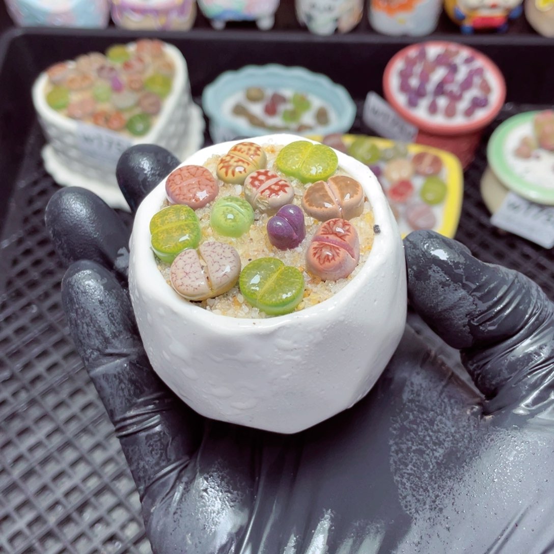 w1760--带盆土发货，零下地区拍保温箱