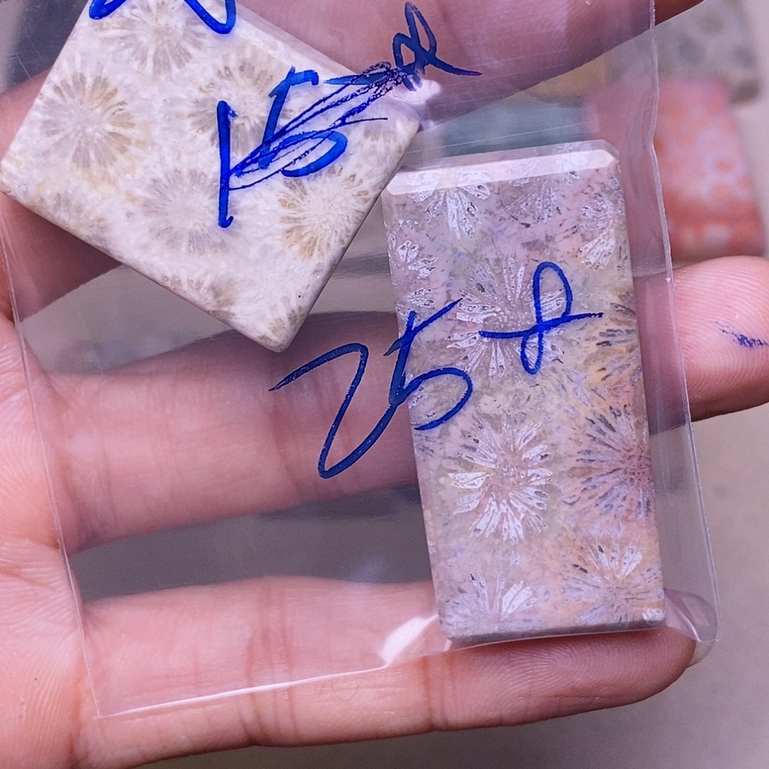 小***狸硅化玉合金珊瑚玉