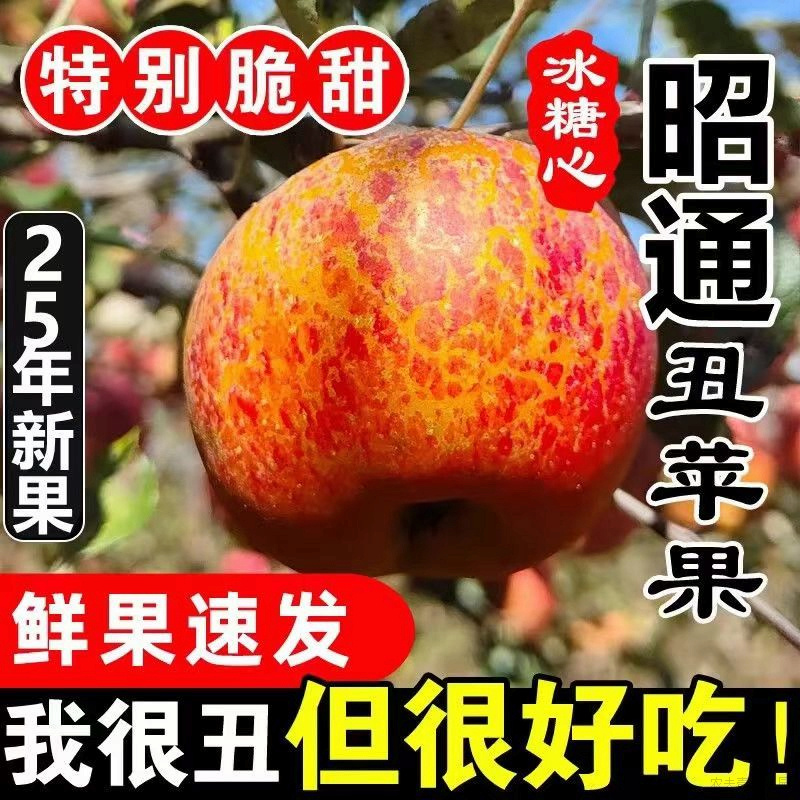 云南昭通苹果正宗冰糖心丑水果现摘脆甜多汁孕妇应季水果九甜一酸
