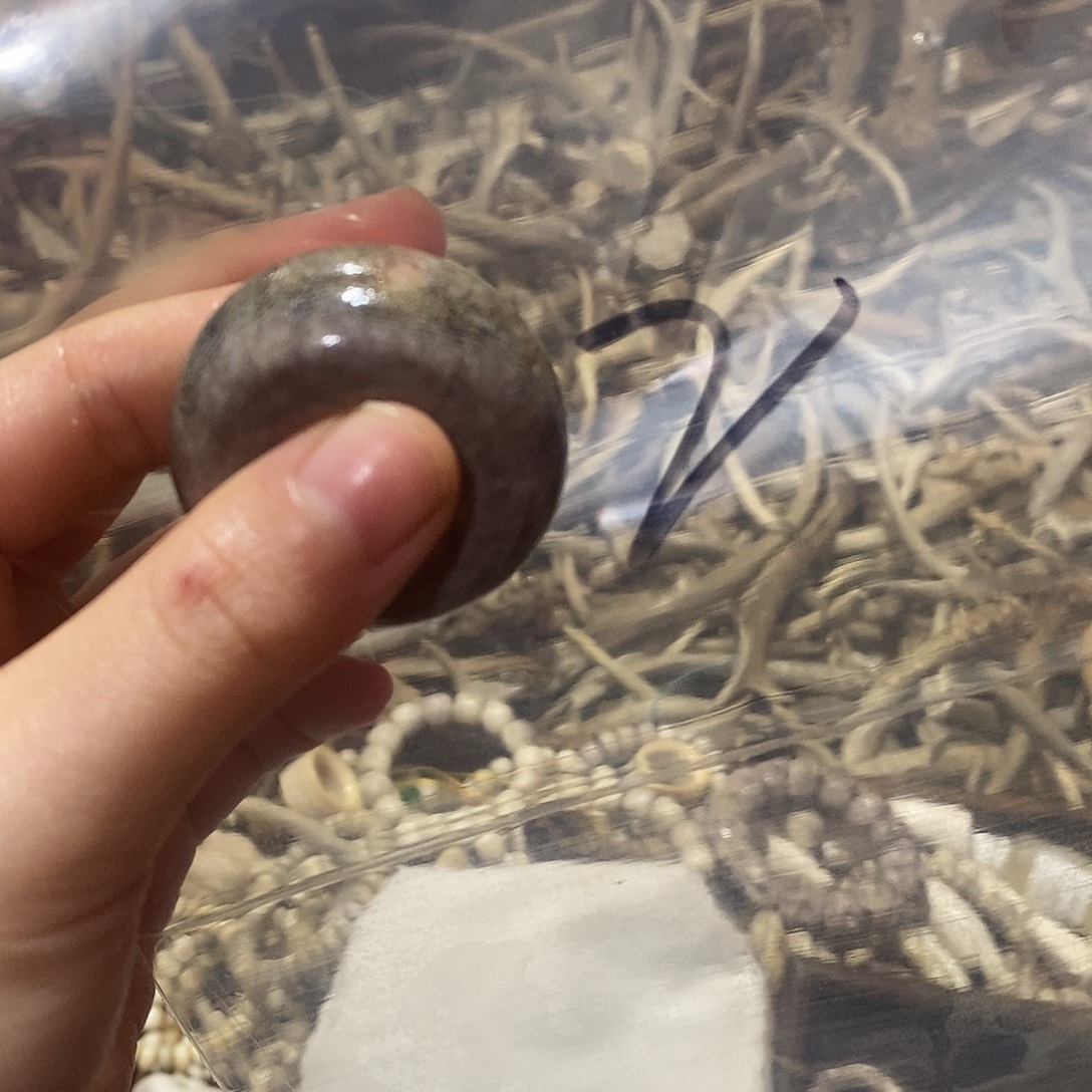 幻***界非金属鹿鹿角鹿角