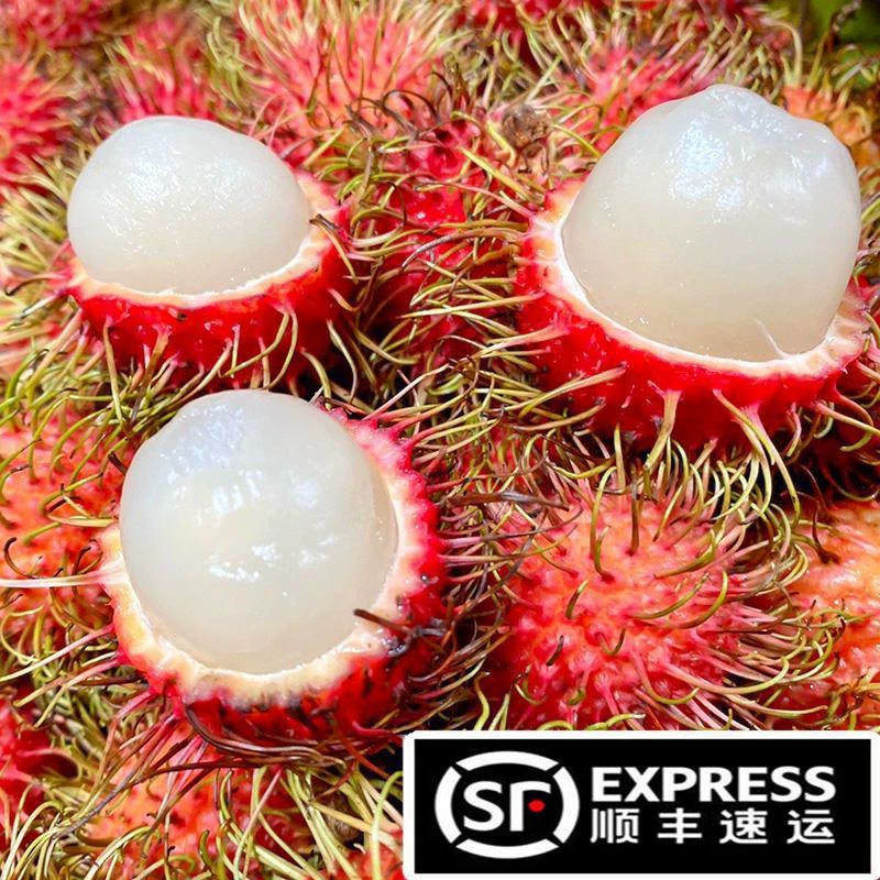 顺丰包邮当季海南红毛丹毛荔枝新鲜应季水果鲜甜可口果园直发整箱