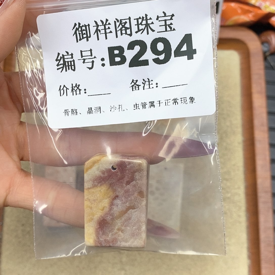 硅化珊瑚（珊瑚玉）颈饰未镶嵌闪****?