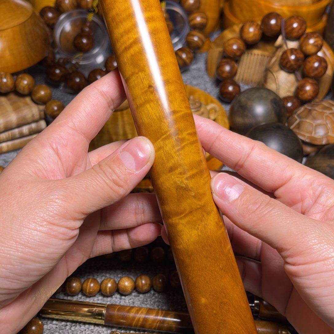 金丝楠香筒小叶桢楠