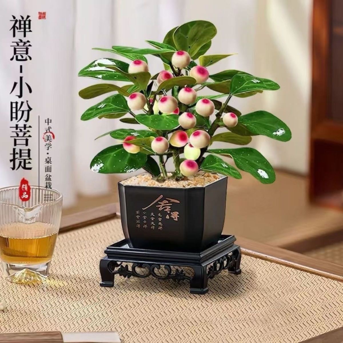 带果小盼菩提盆栽室内净化空气桌面盆景好养活绿植新中式植物