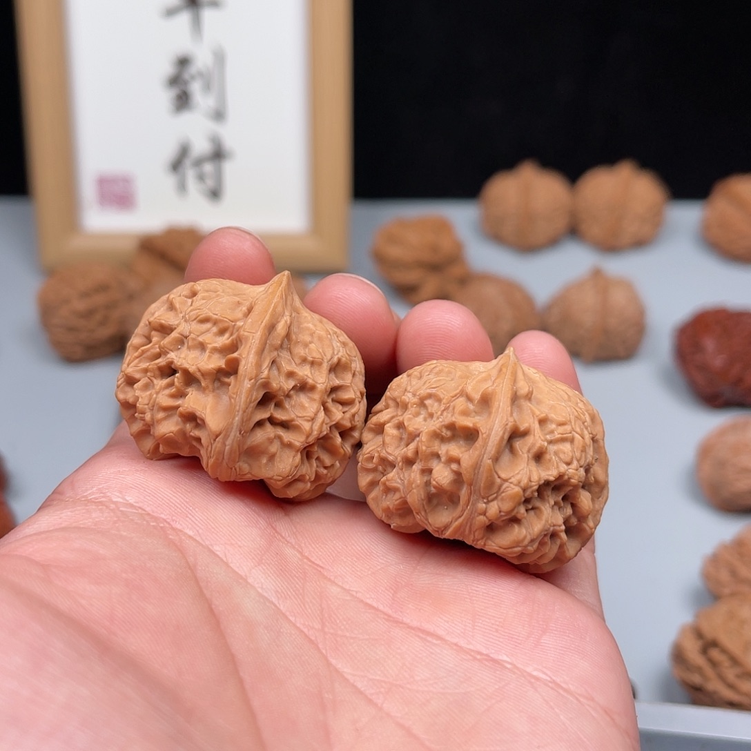 核桃野生山川座核桃