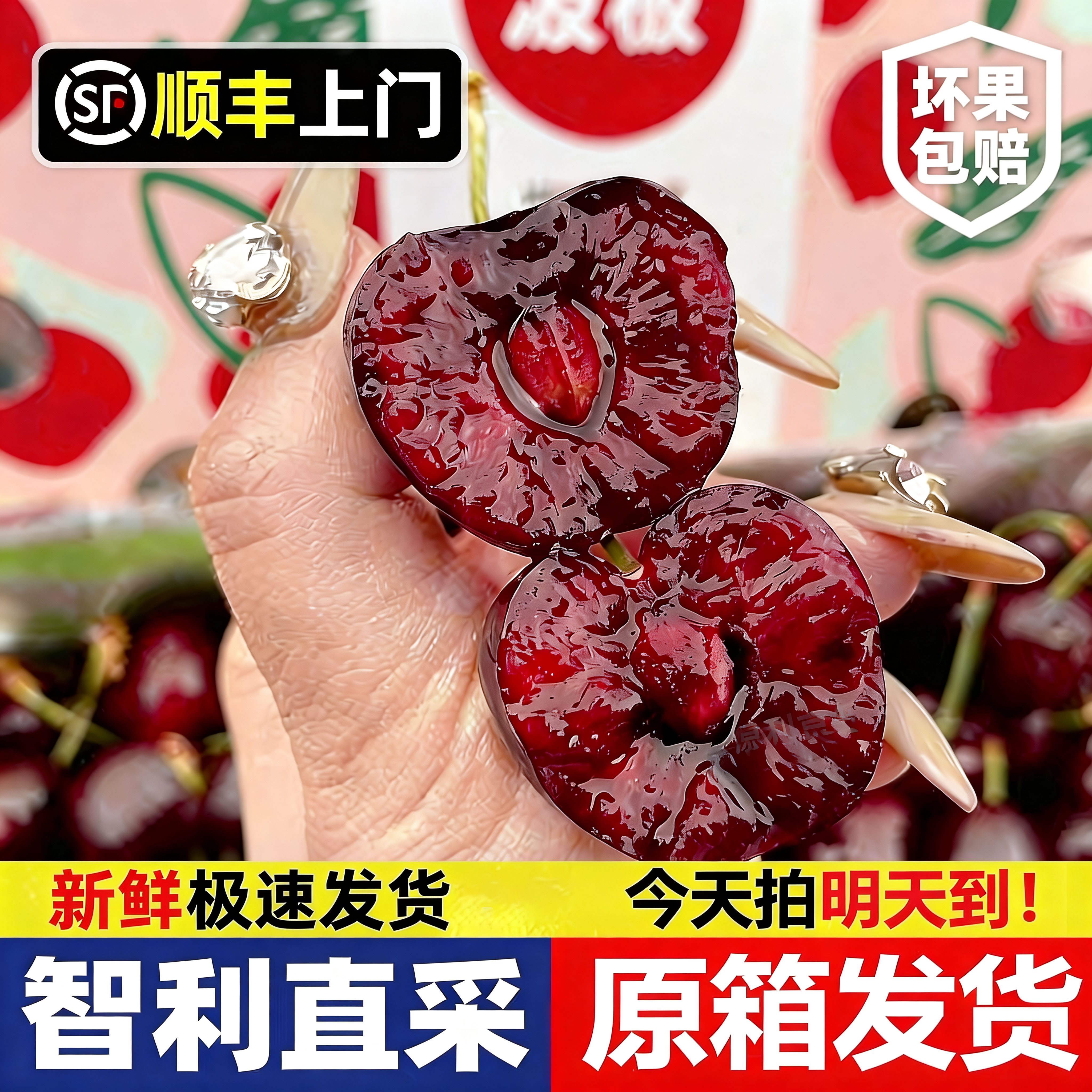 [波板]智利车厘子进口原箱顺丰包邮女生熬夜必备水果2J-4J海运5斤桑提娜内附果径卡桑提娜樱桃智利共和国