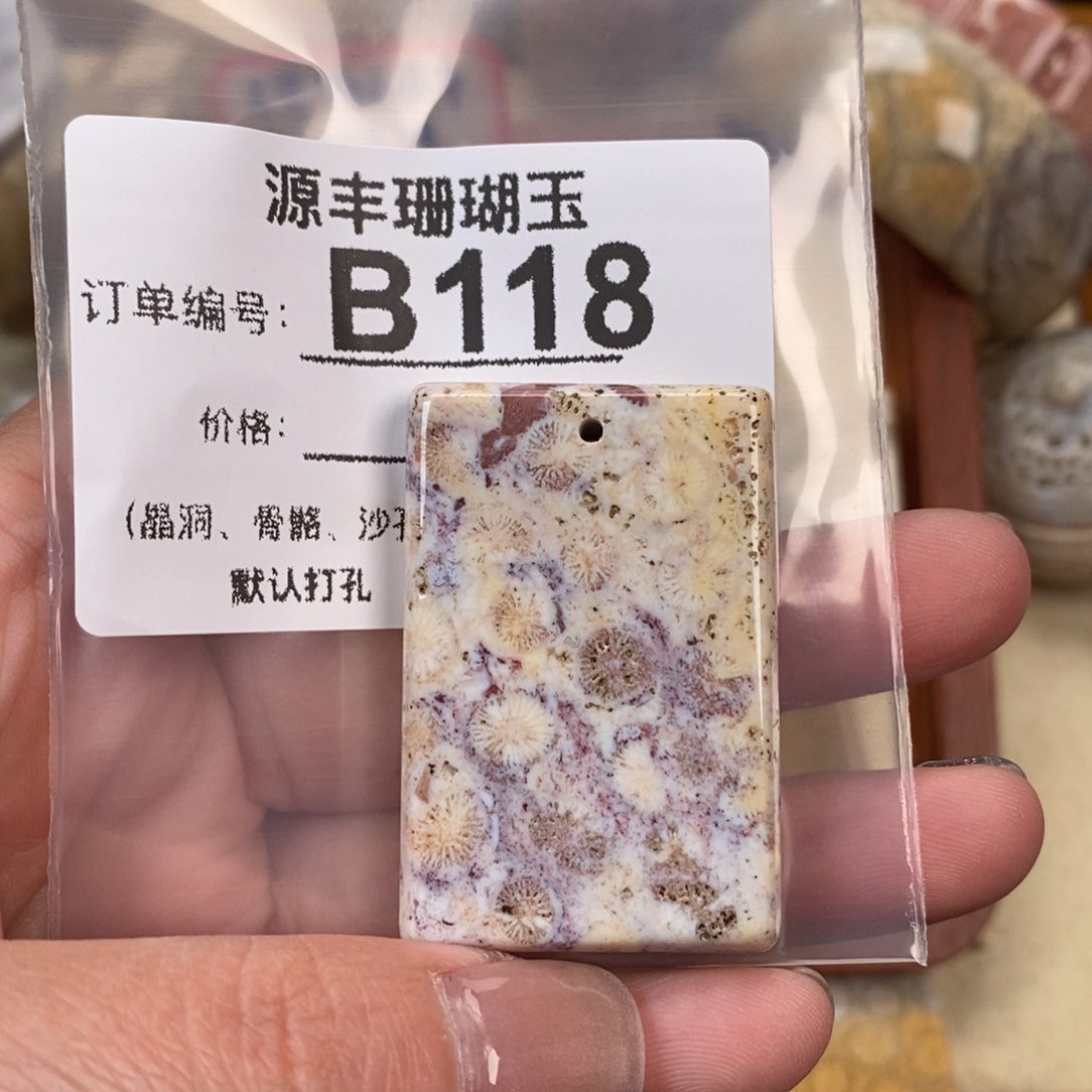 硅化玉颈饰未镶嵌一*黎