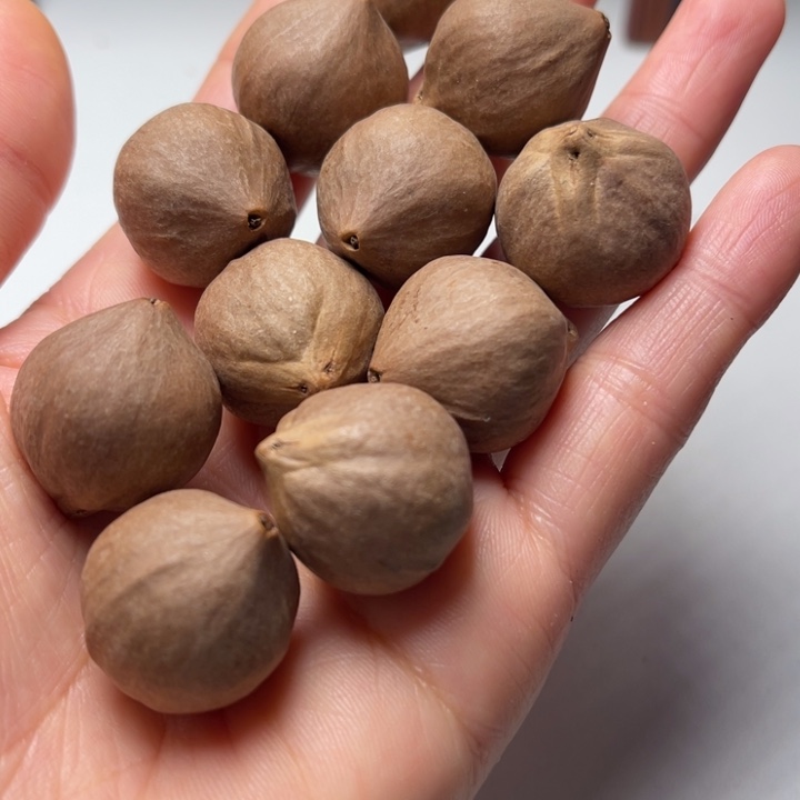 饭***困手串/手链橄榄核2.1