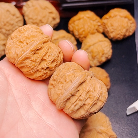 大叶紫檀（黑酸枝木类）岳