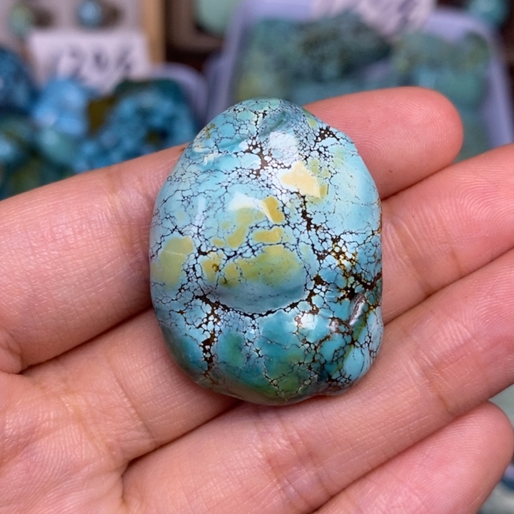 绿松石未镶嵌颈饰