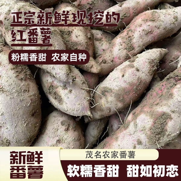正宗农家种植粉糯香甜红皮番薯红薯新鲜挖爆皮爆粉纯绿色食品