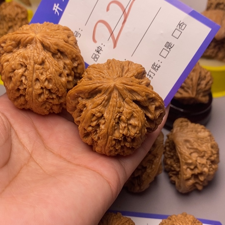 文玩核桃把件科*叶22号粗筋