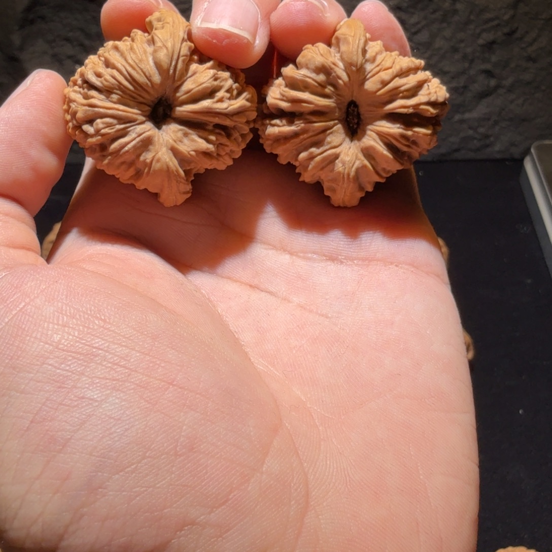 吊坠文玩核桃号边37高39凹底高炮