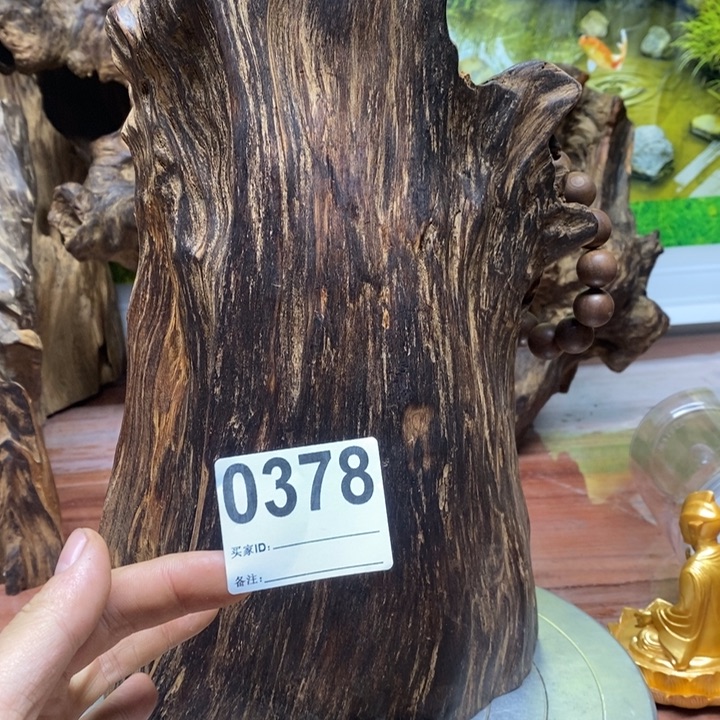 阳***行木我也不知道我268