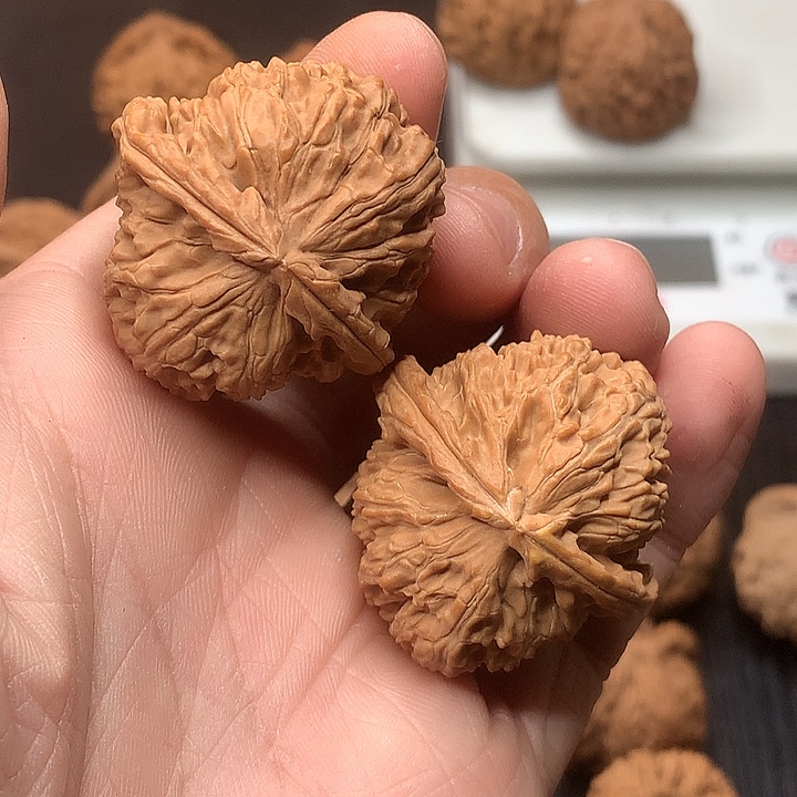 文玩核桃吊坠36 37 白狮子