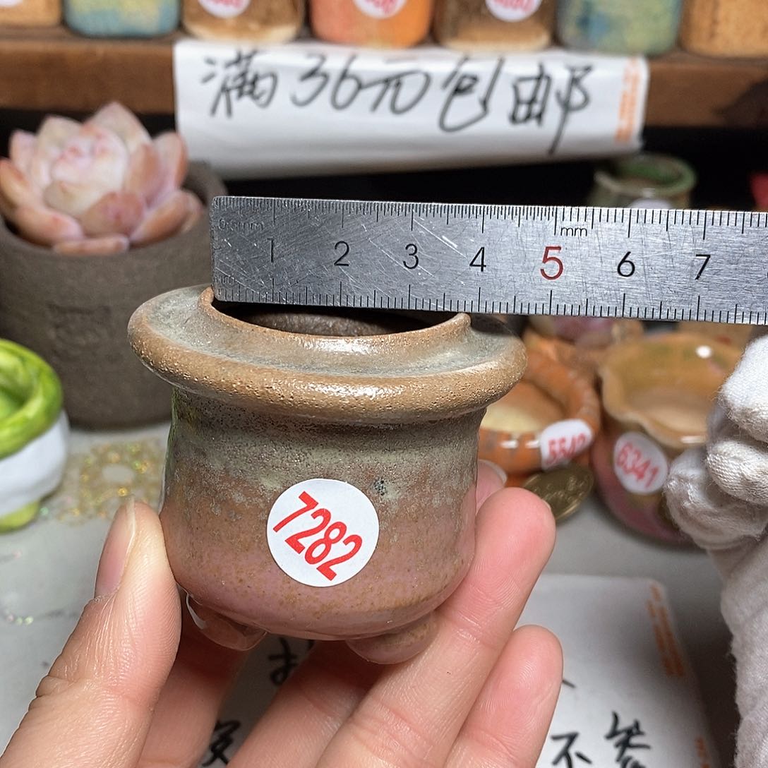 红陶拍5送一个小