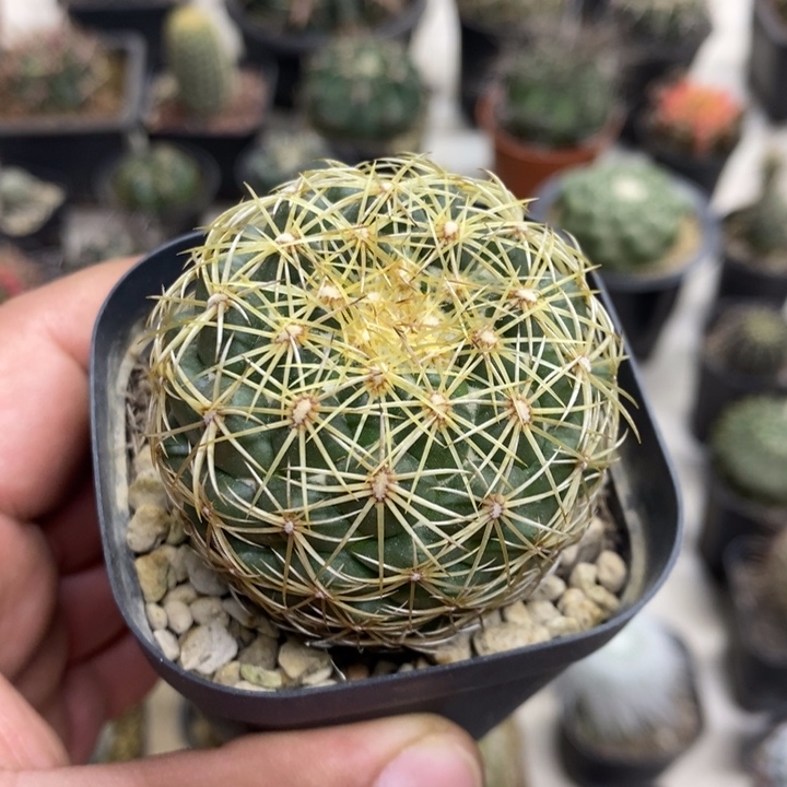 实生儒衣特价福利