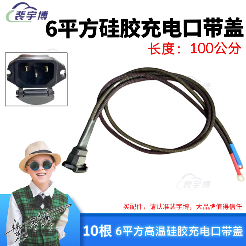 【5根】6平方高温硅胶充电口带盖100公分