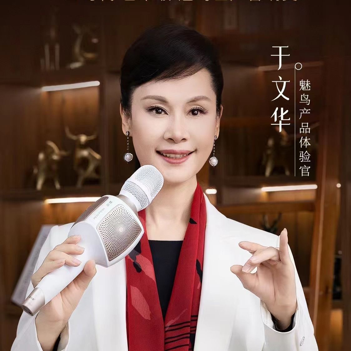 魅鸟PLUS麦克风声卡音响一体话筒无线蓝牙主持手机直播户外唱K歌