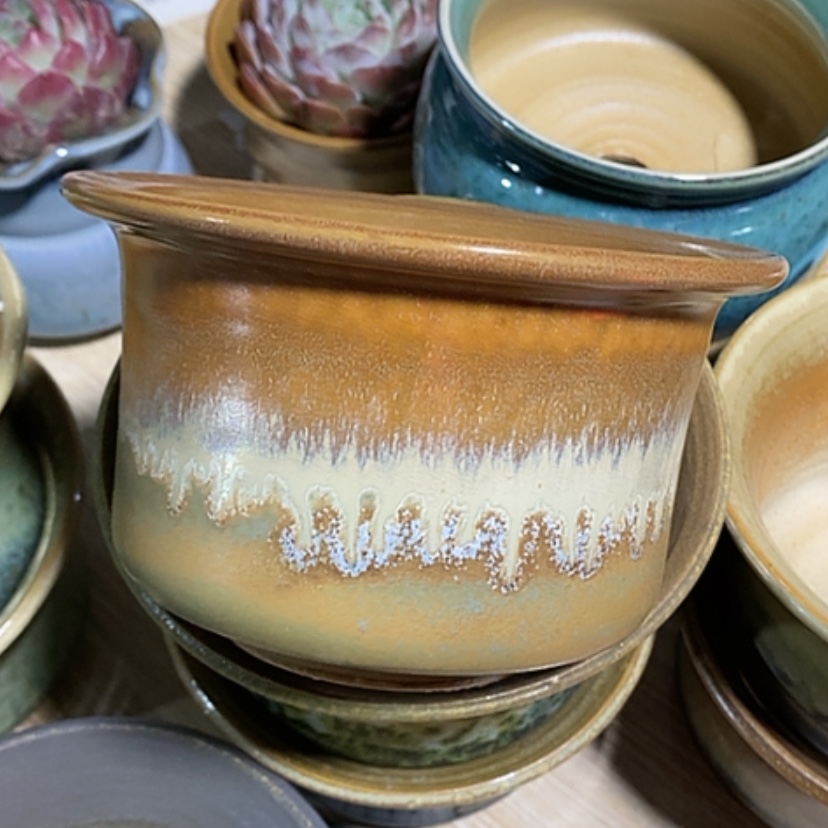 【闪购商品】红陶口 11.5