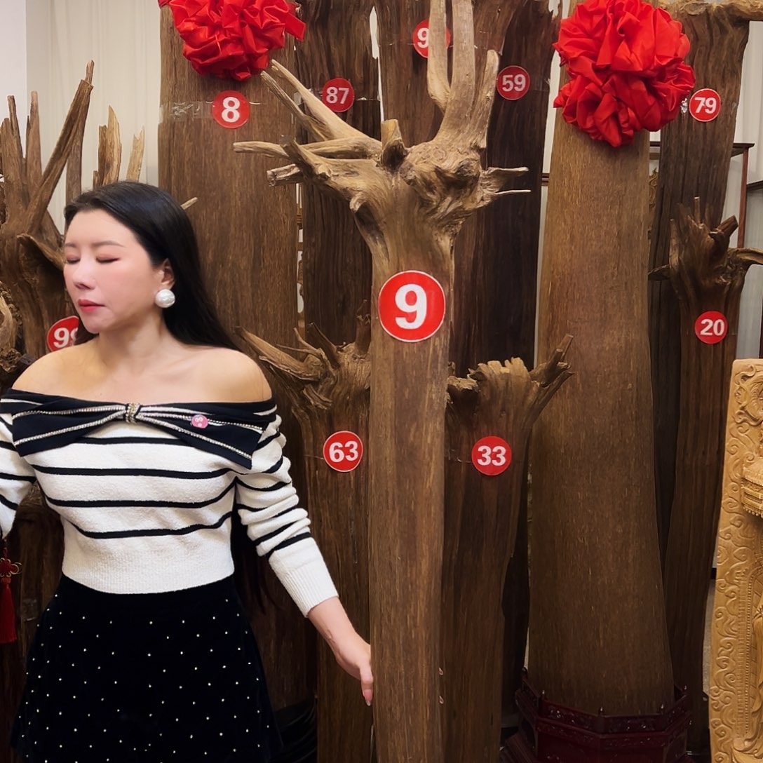 善***宝沉香沉香碎屑沉香材料