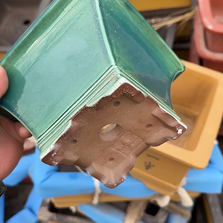 是因为她太喜欢了所以还是觉得不