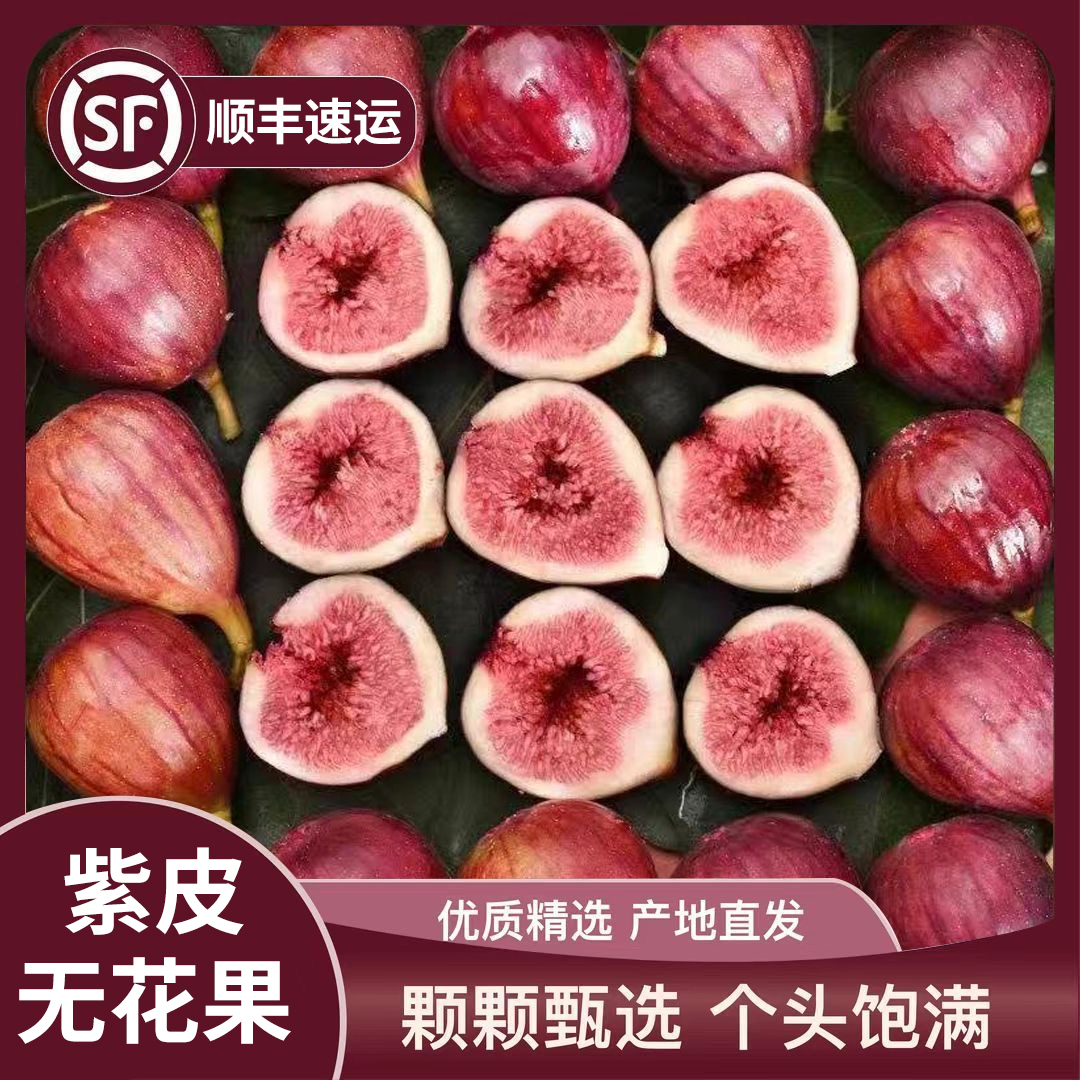 S1【顺丰】云南新鲜现摘紫皮无花果新鲜应季当季水果软糯香甜无花果