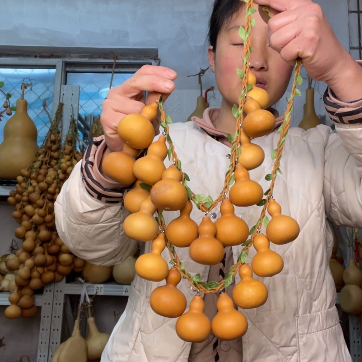 凡***渡天然植物葫芦文玩