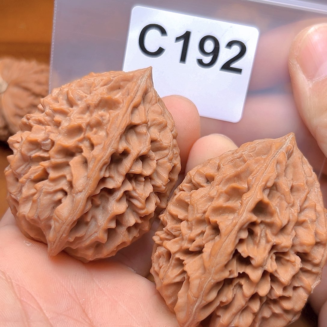 文玩核桃吊坠41老鼠