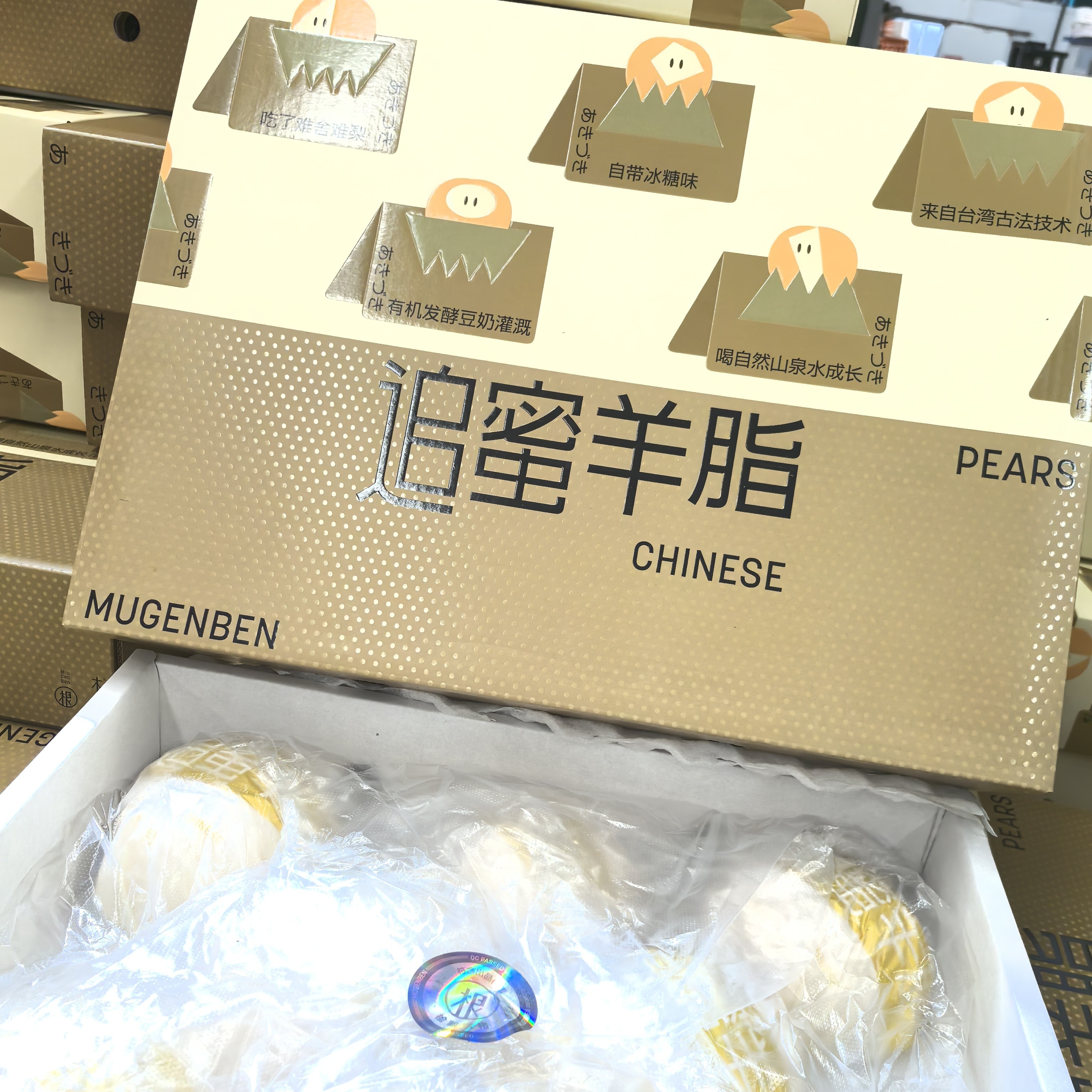 【木根本】秋月梨，脆甜多汁