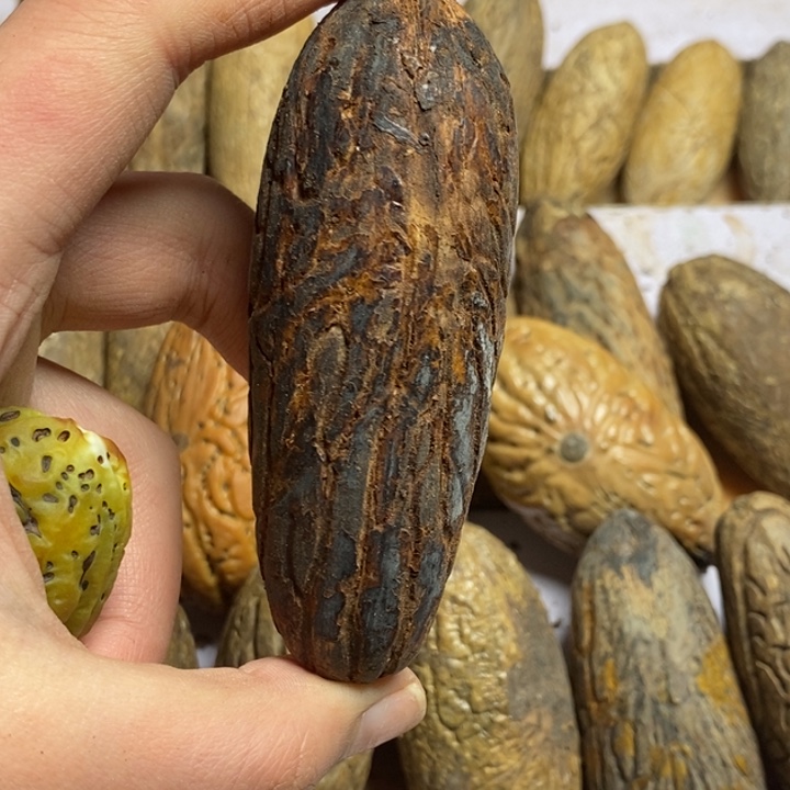 家****吊坠千眼菩提菩提