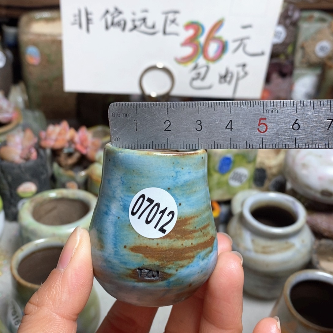 花盆拍5送一个小礼物