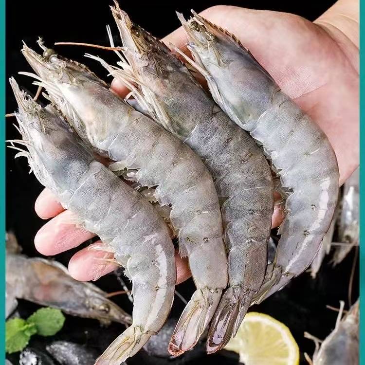 海水大虾 2030规格 鲜活速冻 肉质鲜甜 净重3斤 约35-40只 