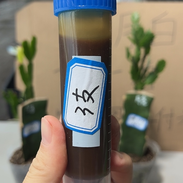 鱼蛋白50毫升3支新疆西藏不包邮