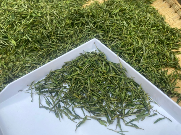 『口碑款』2025新茶黄山毛峰绿茶高山手工炒制好喝耐泡