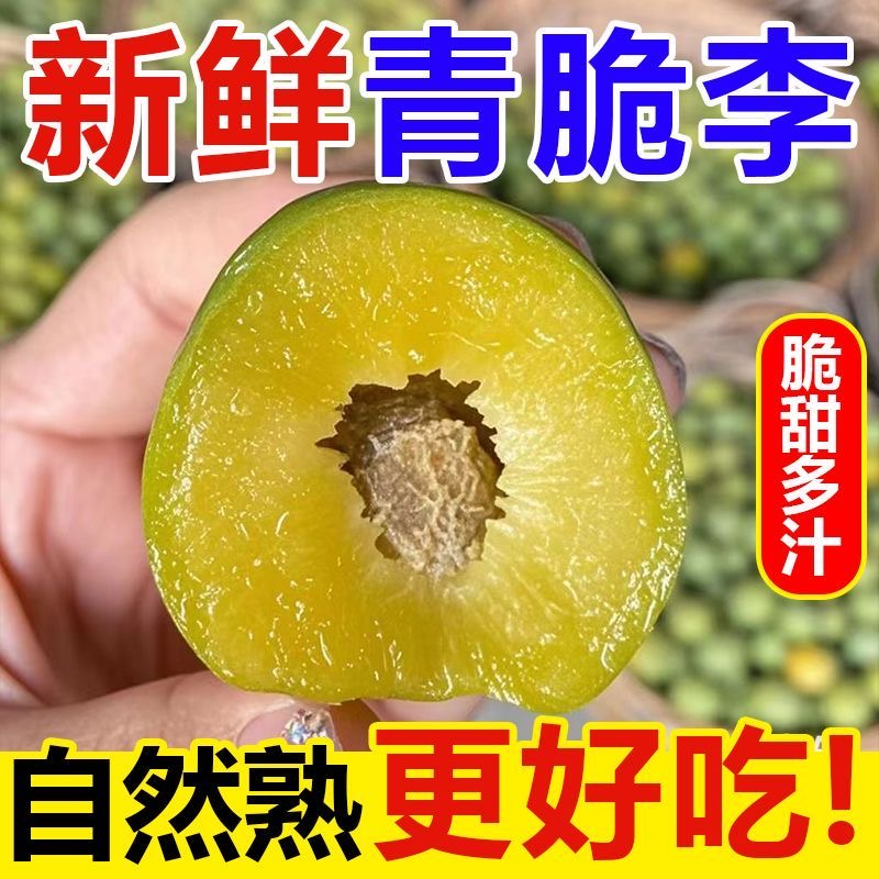 新鲜青脆李应季水果酸甜多汁软脆两吃W