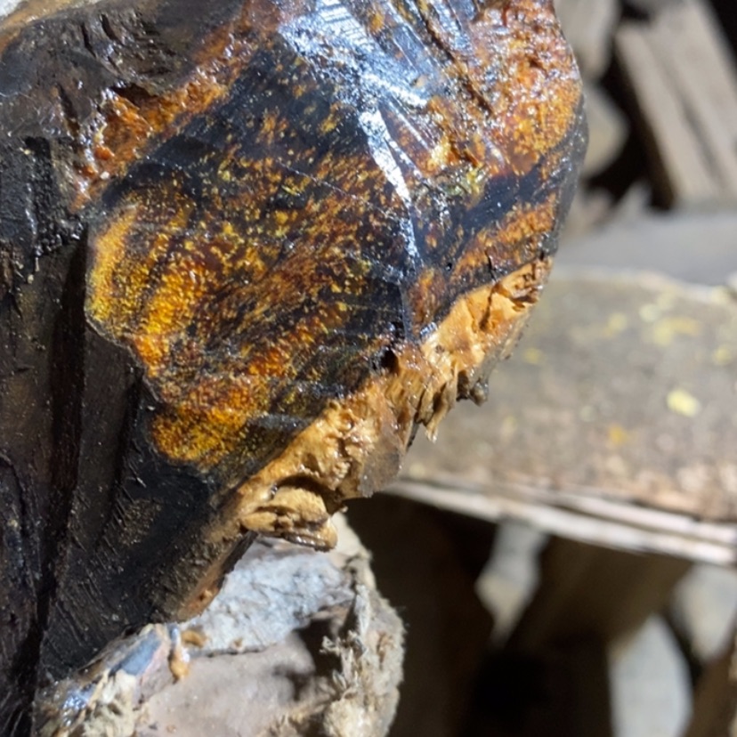 【闪购商品】手串贡木清**在私人订制