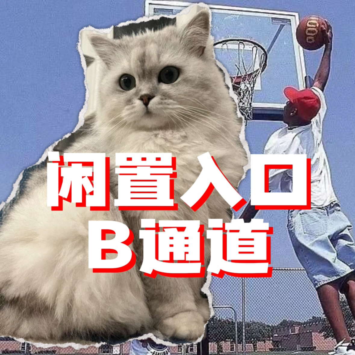 JUST VIBE 短袖长袖卫衣外套 合集 （不 退 换）