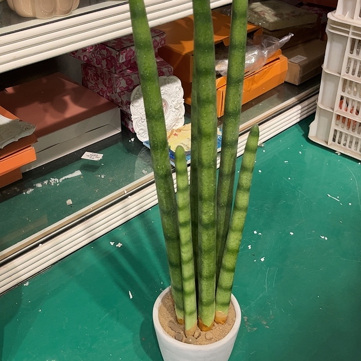 陶微xia特卖满38包邮邮