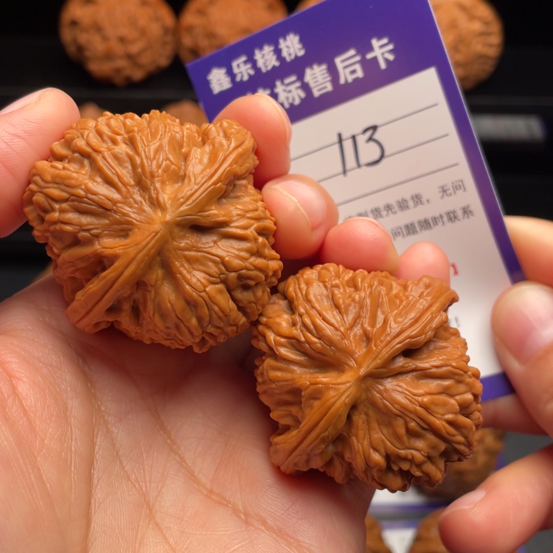 一***人文玩核桃把件白狮子42.8尺