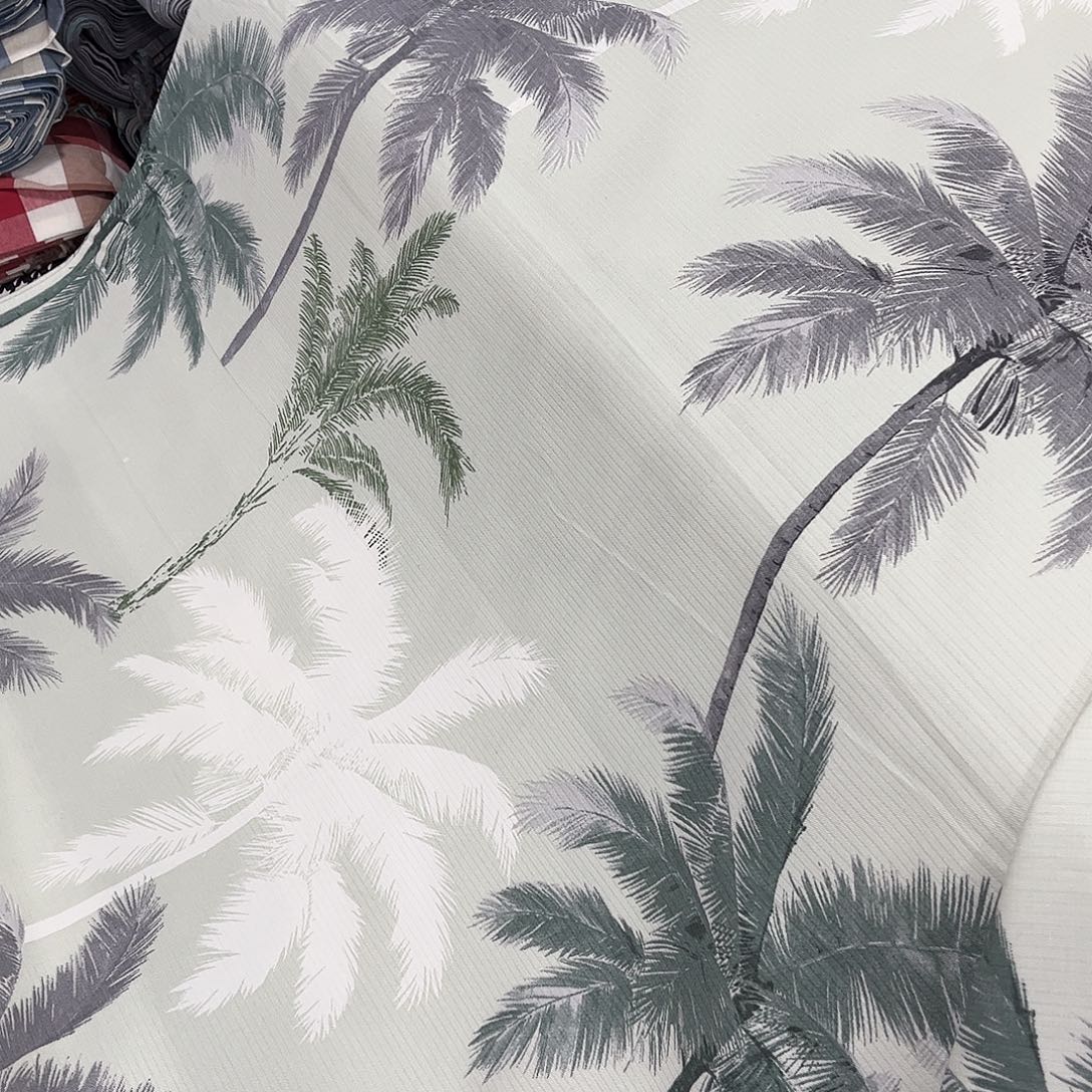 棉小竹大树3米不加工