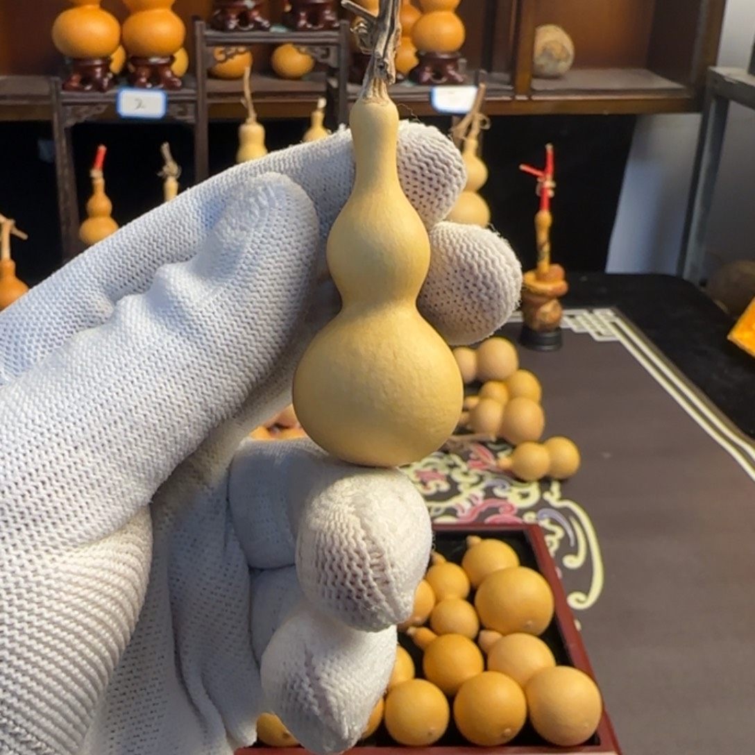 小***c葫芦头的做法是用来做的吗哈哈