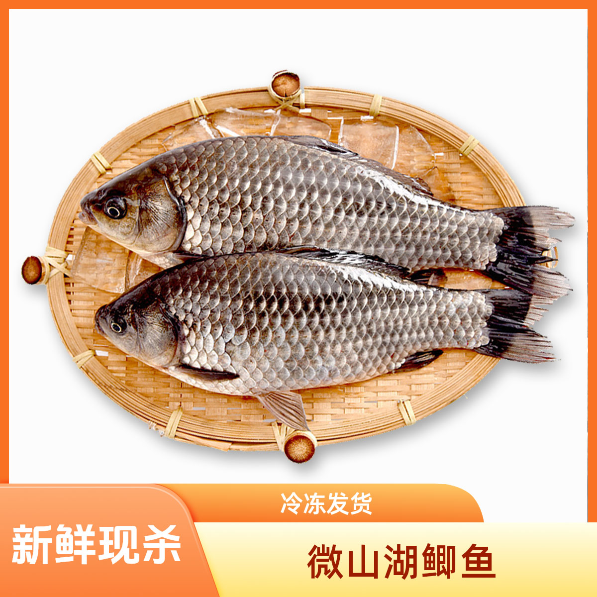 微山湖淡水鱼土鲫鱼生态鲫鱼活鱼现杀顺丰包邮