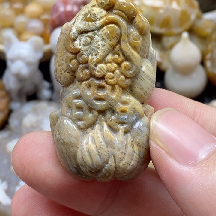 硅化珊瑚（珊瑚玉）颈饰未镶嵌有瑕