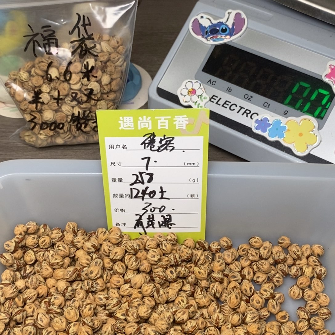 倦***客吊坠柏香籽/百香籽