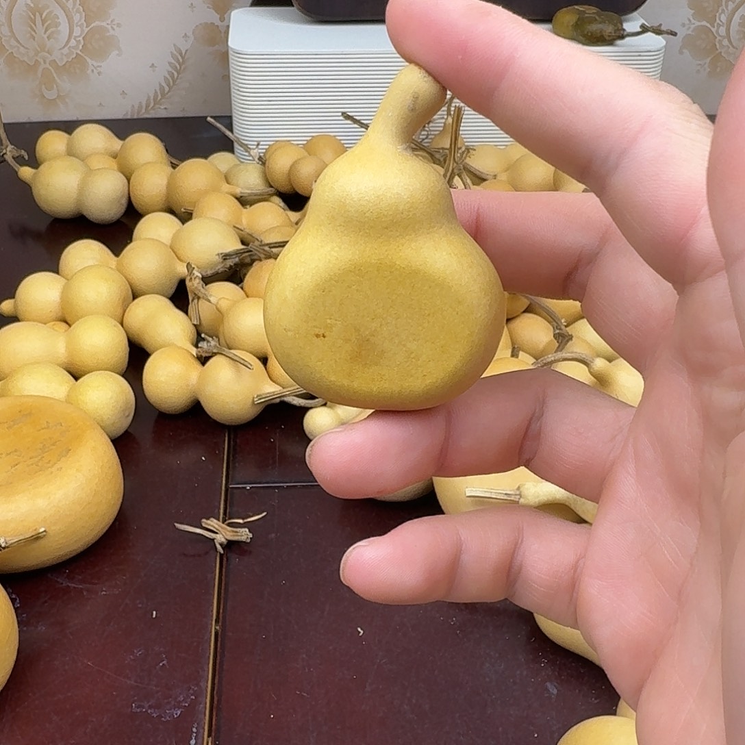 直播间葫芦专属链接9